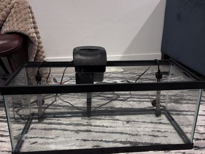 20 gallon long fish tank with filter and heaters