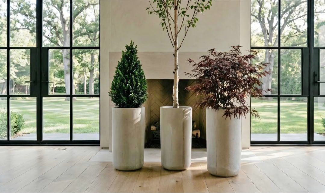 Large Modern Concrete Planters