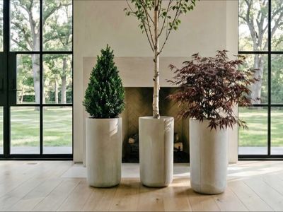 Large Modern Concrete Planters