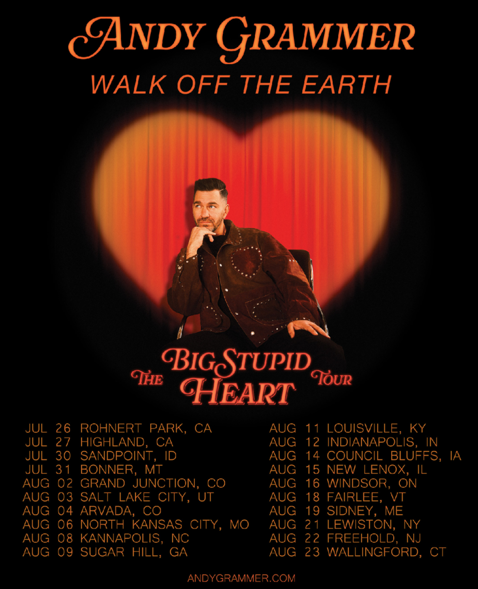 Single Grass Seating Ticket to Andy Grammer Big Stupid Heart