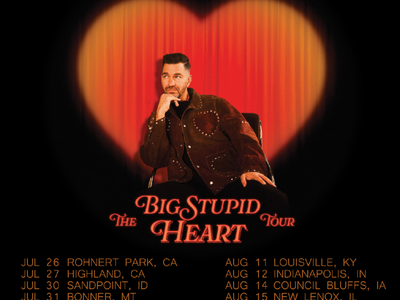 Single Grass Seating Ticket to Andy Grammer Big Stupid Heart