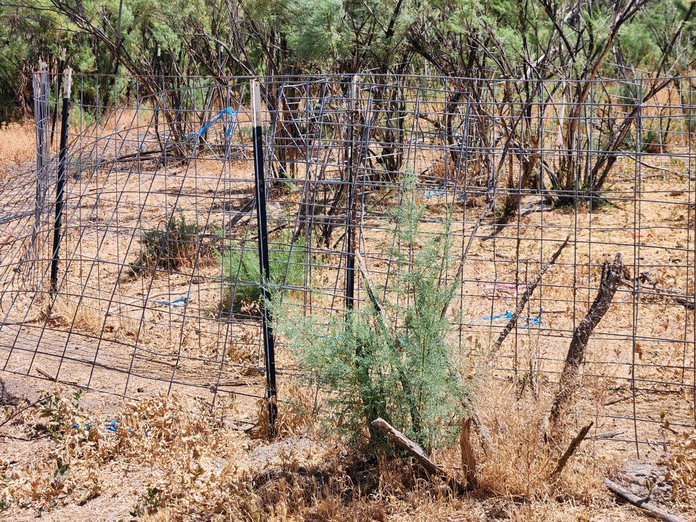 Cattle panels  Ideal for Gardens, Pets, or Property Boundaries livestock fencing