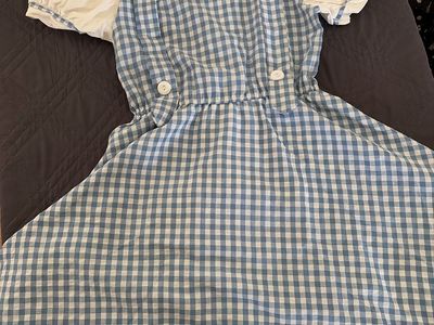 Blue and White Gingham Pinafore Dress - Dorothy Style