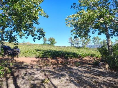 sourdough wilderness ranch