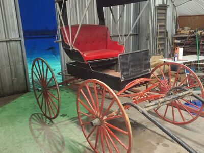 Doctors buggy in resl great shape