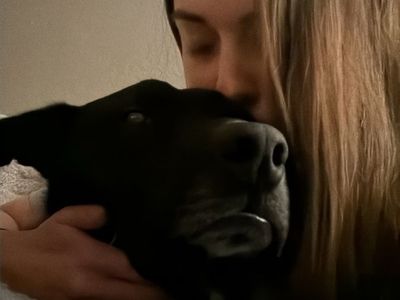 Rehoming $100