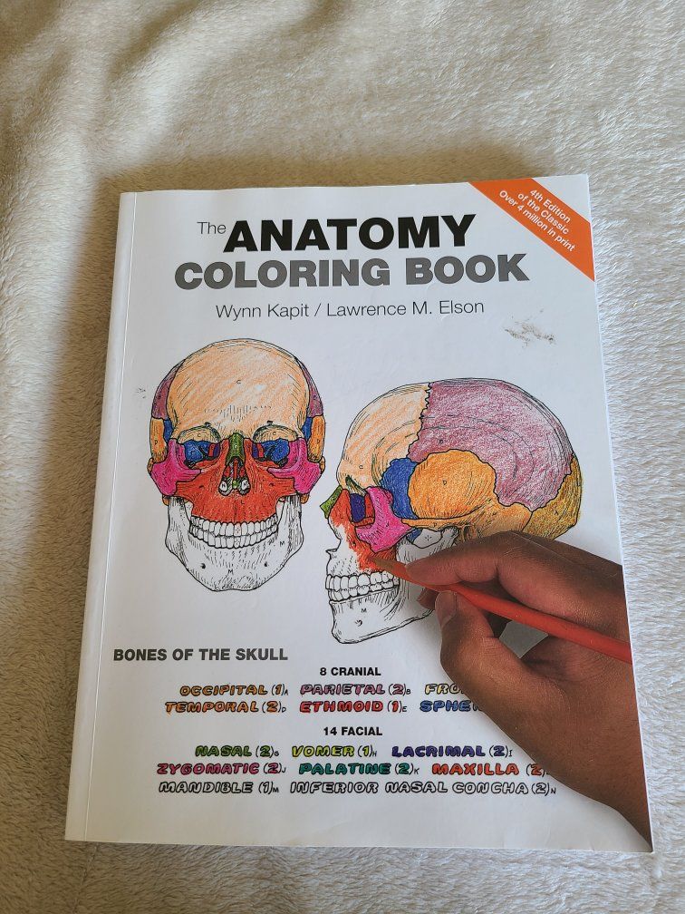 USED- The Anatomy Coloring Book 4th Edition