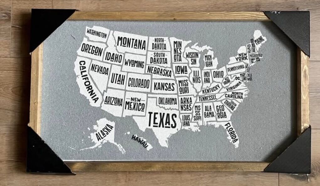 16X28 Framed United States Wall Art With Flag Pins