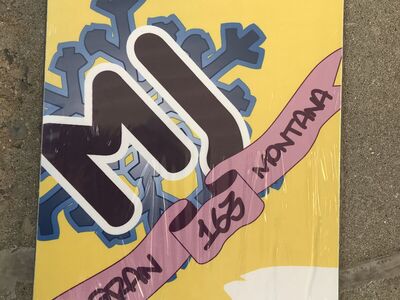 NEW REVOLUTION 155CM SNOWBOARD MADE IN OREM UTAH