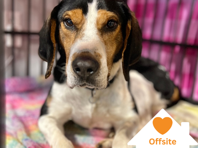 Hello my name is Herschel