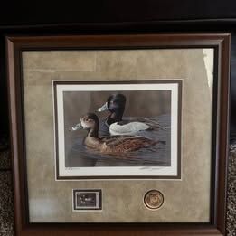 Richard Clifton 2007–08 Federal Duck Stamp Print – Signed & Numbered (8963/10500) – Limited Edition