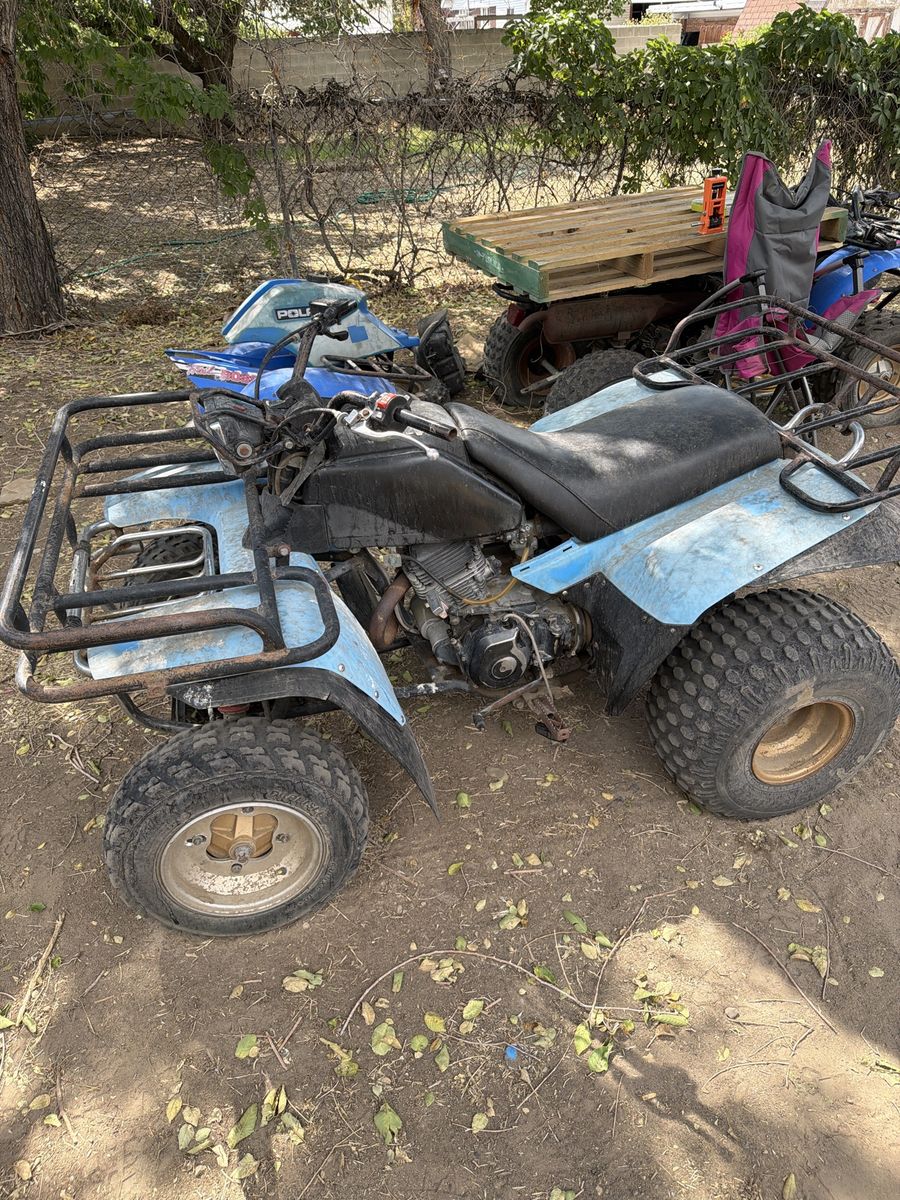 Yamaha Quad - Blue ATV, Runs & Drives, Needs Piston Ring Repair