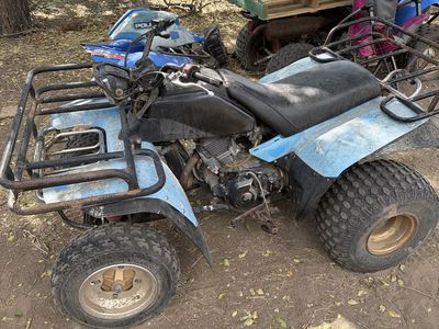 Yamaha Quad - Blue ATV, Runs & Drives, Needs Piston Ring Repair