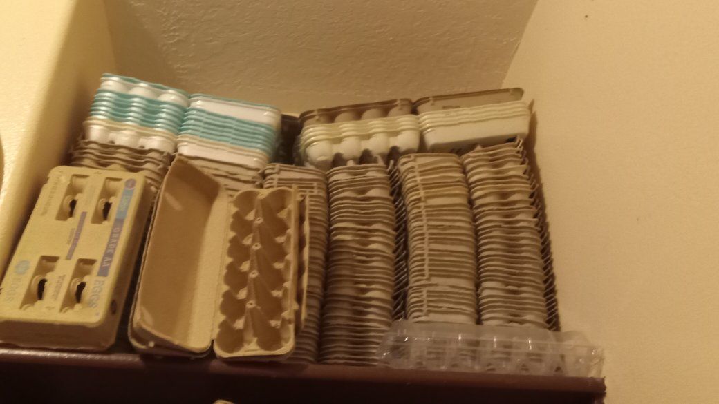 Tons of Egg Cartons Paper Pulp & Ceramic $0.25