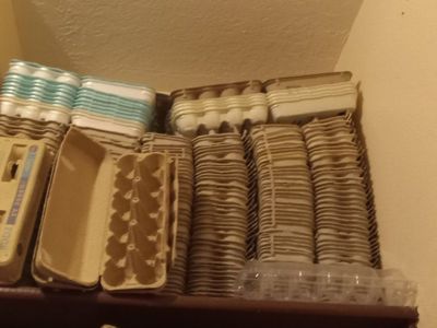 Tons of Egg Cartons Paper Pulp & Ceramic $0.25