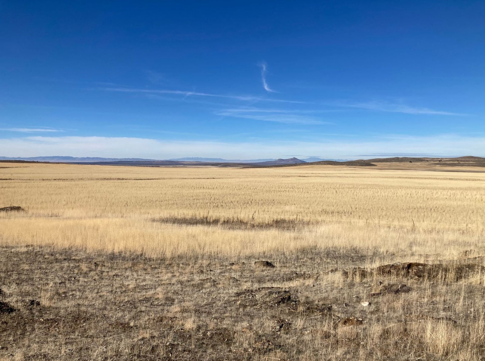 160 acres 650 E 5050 N Fillmore, UT 84631