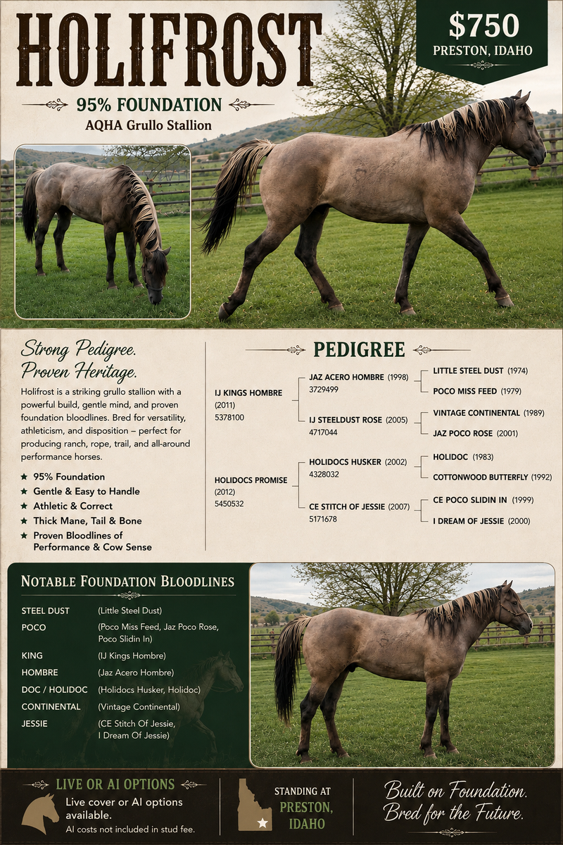 Grulla stud