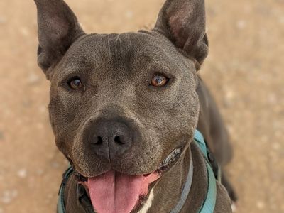 Hello my name is Lucy