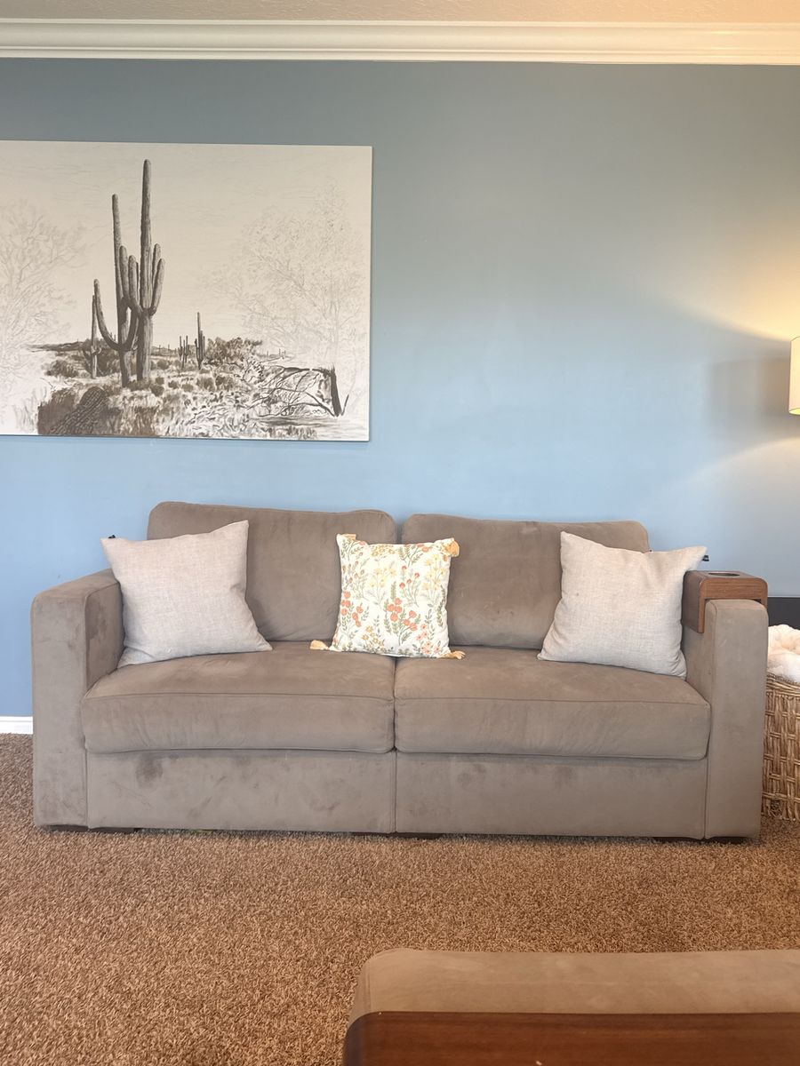 Lovesac Modular Couch & Beanbag