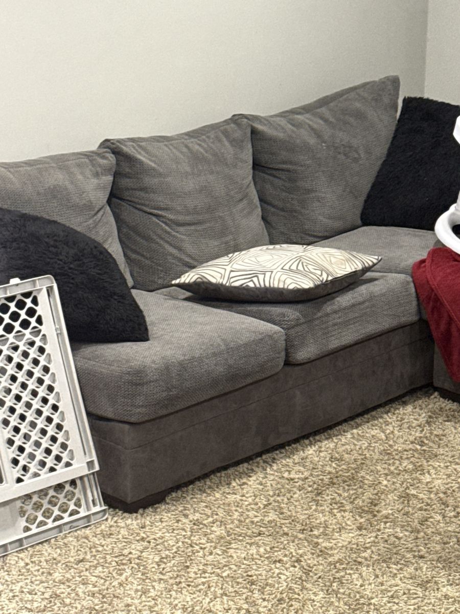 Free Sectional Couche