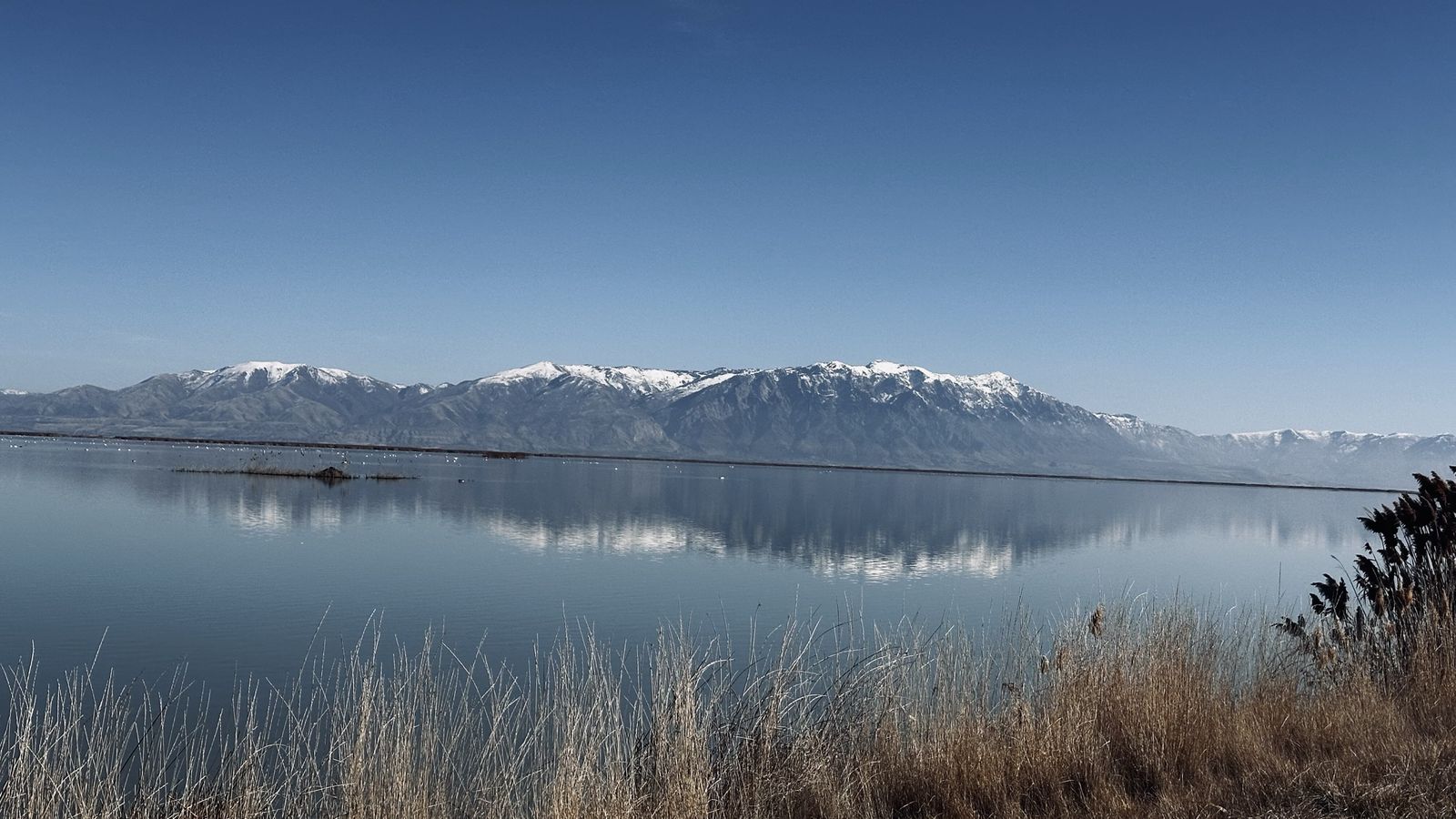 Whirlpool Washer & Dryer With Pedistals