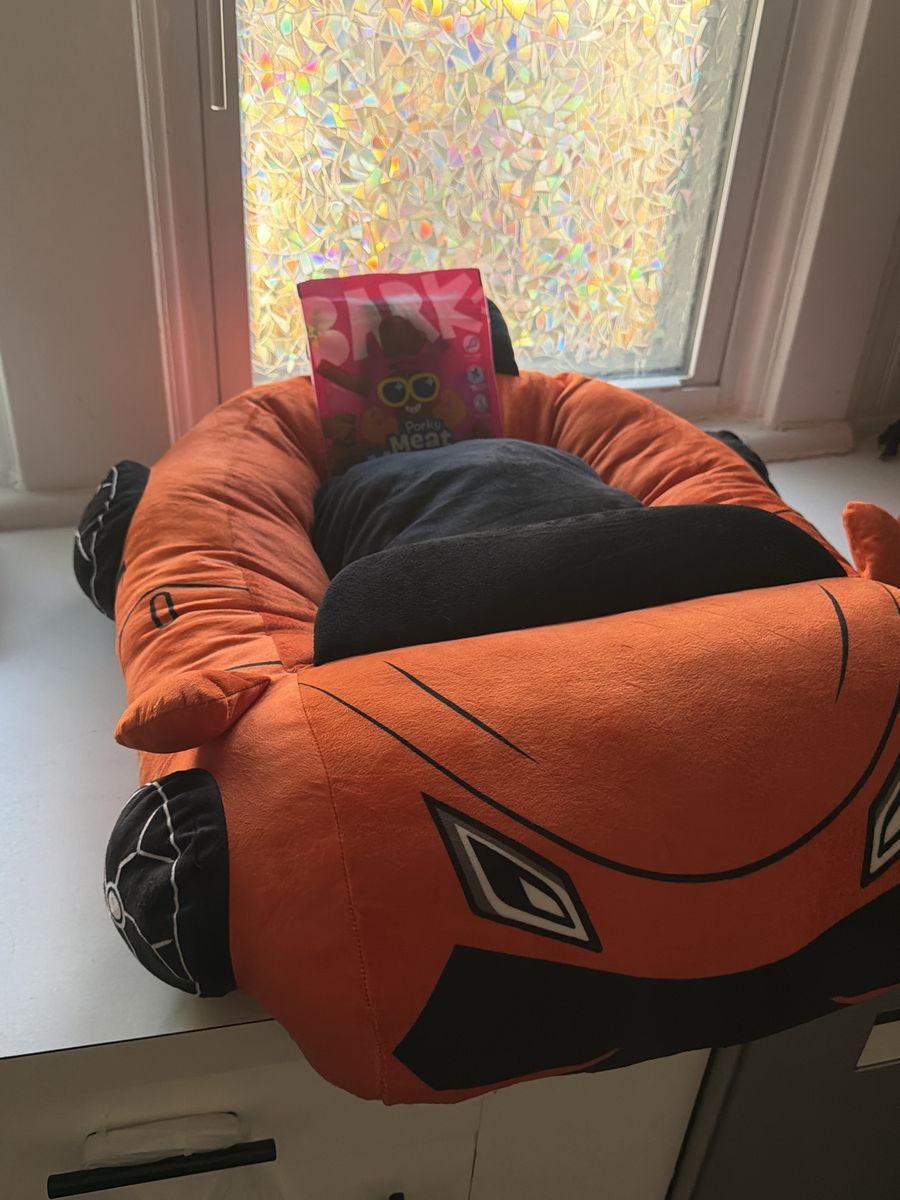 Cat/small dog bed *bonus free dog treats*