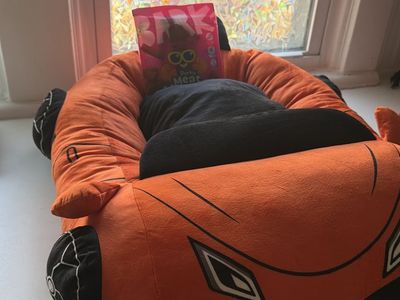 Cat/small dog bed *bonus free dog treats*