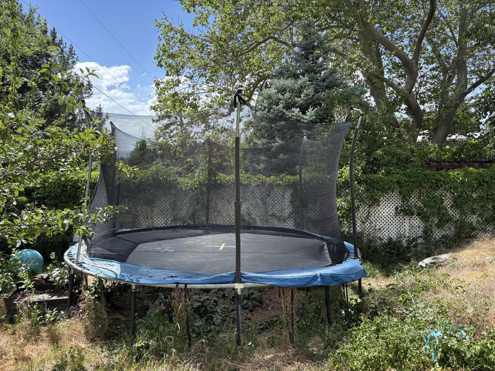 Free trampoline in Farmington