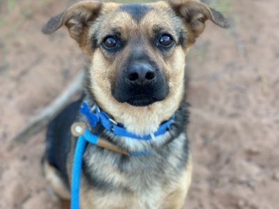 Hello my name is Lacey