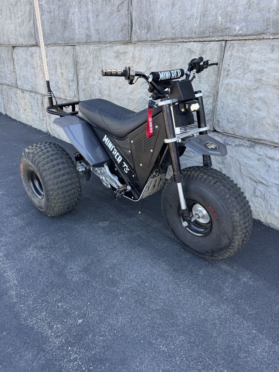 MINI RCR T3 Three Wheeler Electric Trike custom tuned