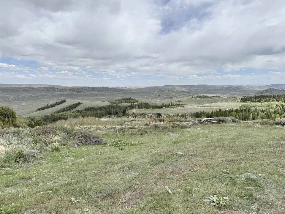 Main image 5