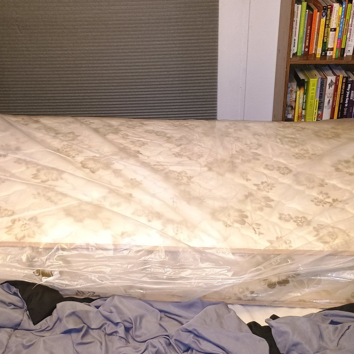 Twin Mattress