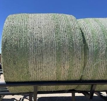 Alfalfa Hay