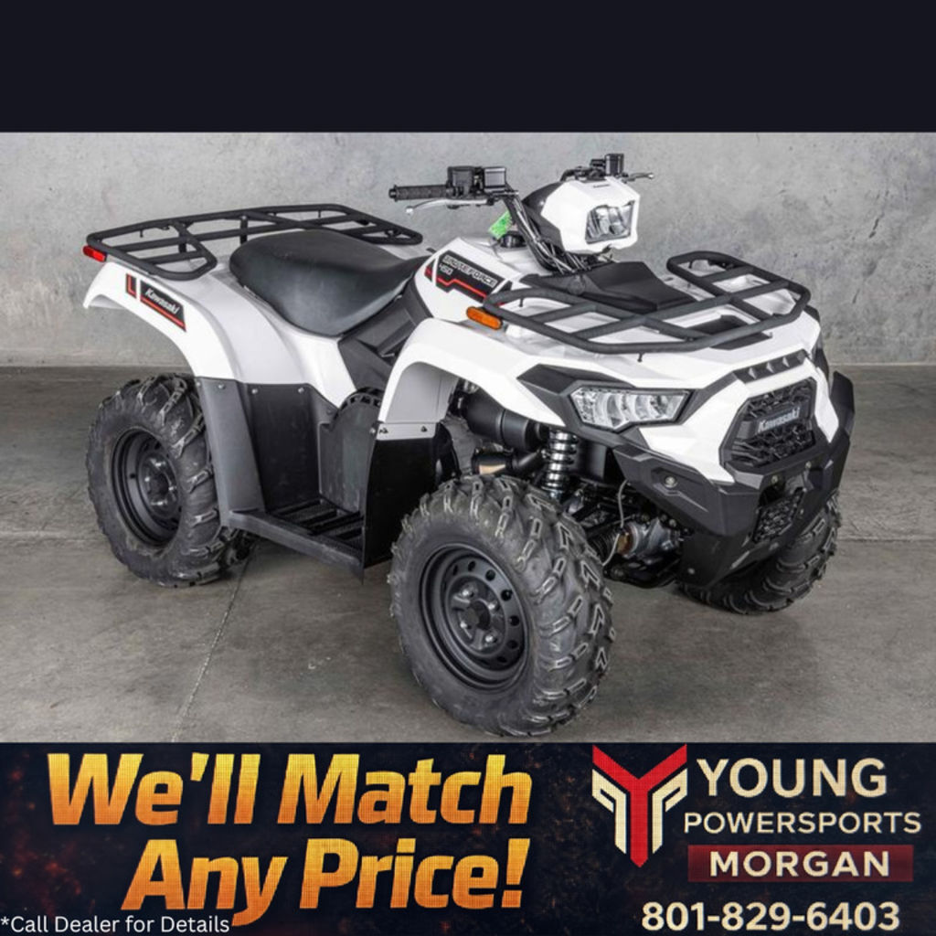 2025 Kawasaki Brute Force® 450 4x4