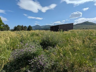Pasture Rental in Petersboro – 3.5 Acres Total in 3 Fenced Sections + Corral, Barn & Amenities