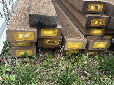 Heavy Timbers $100 (EA)