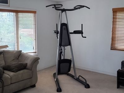 Pull Up Tower - Dip Station - Gold's Gym Platinum