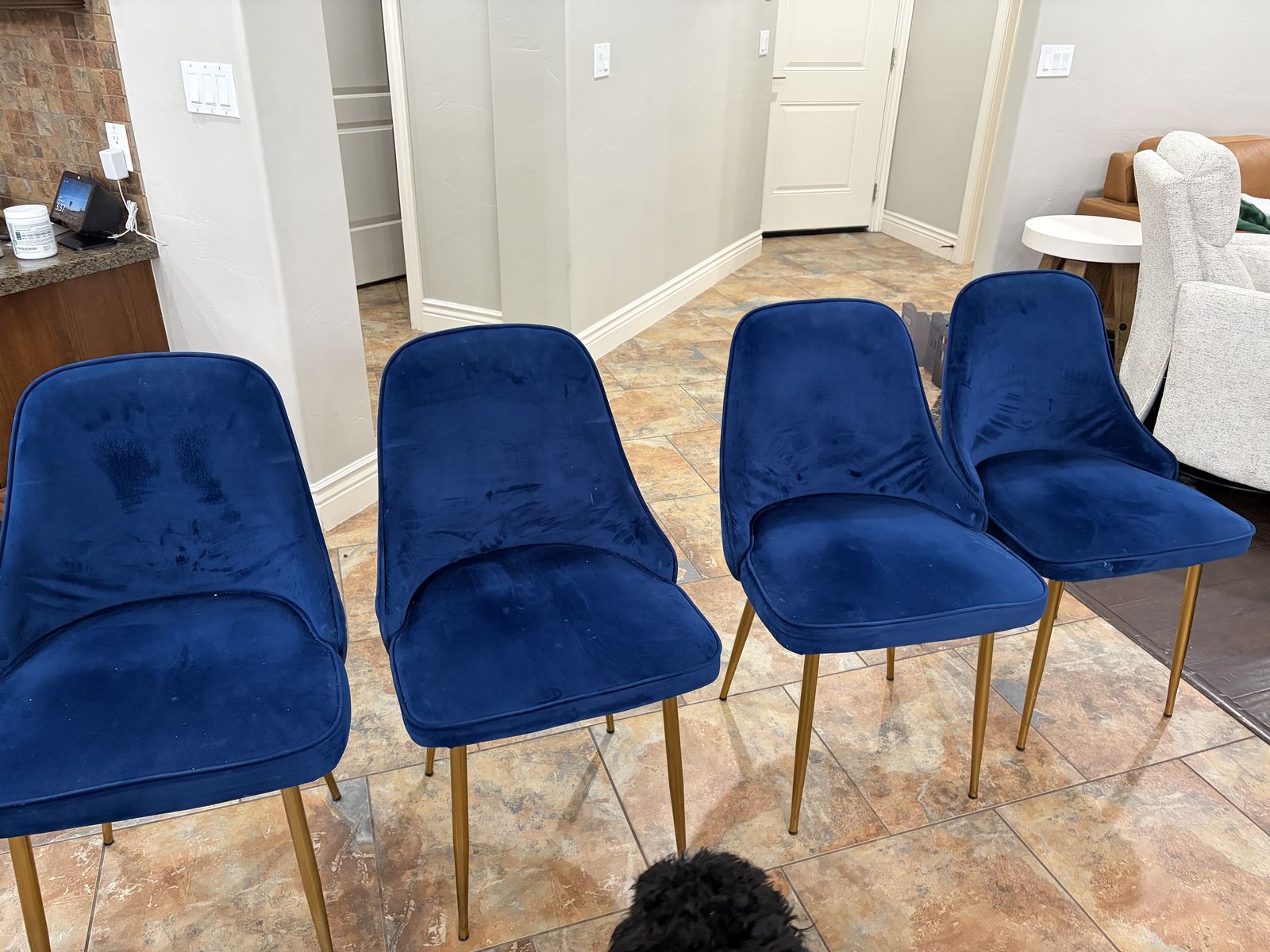 Dining Chairs
