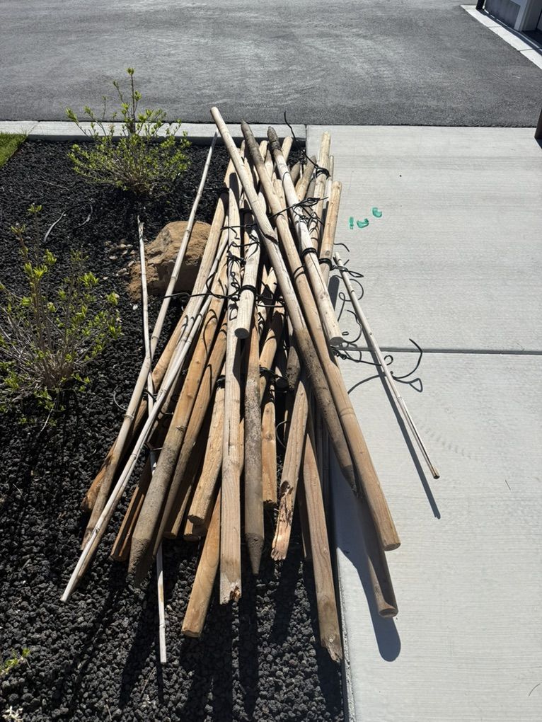 Free Tree Stakes