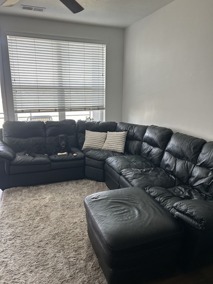 Free leather couch