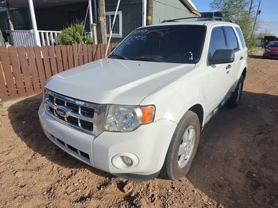 2009 FORD ESCAPE XLT