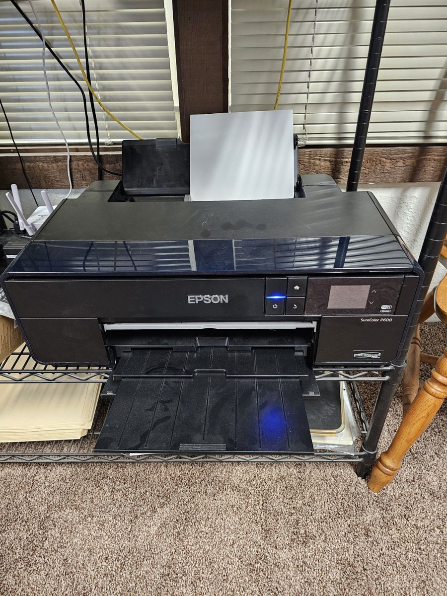Epson P600