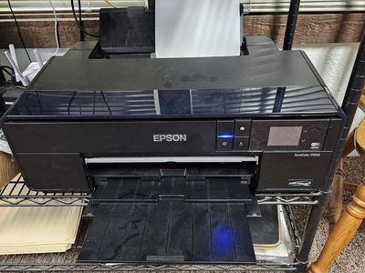 Epson P600