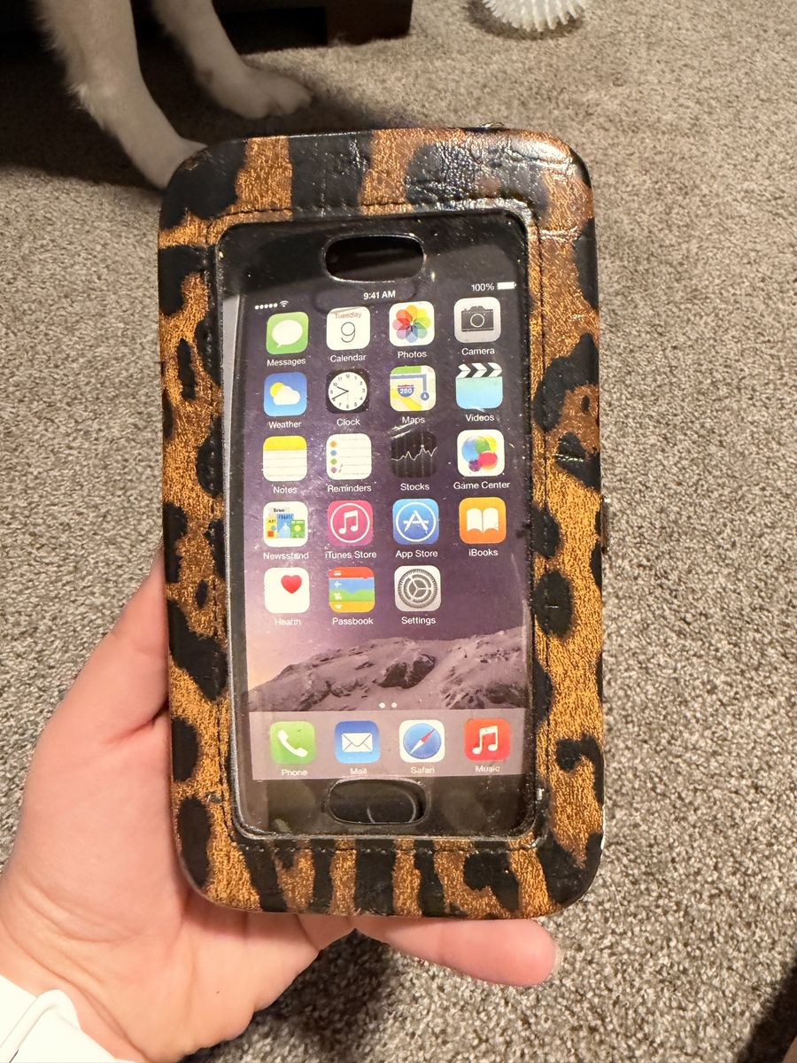Leopard Print Wallet Case for iPhone