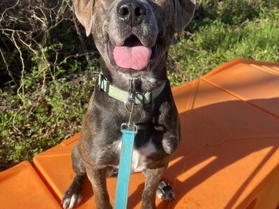 Hello my name is Tatiana