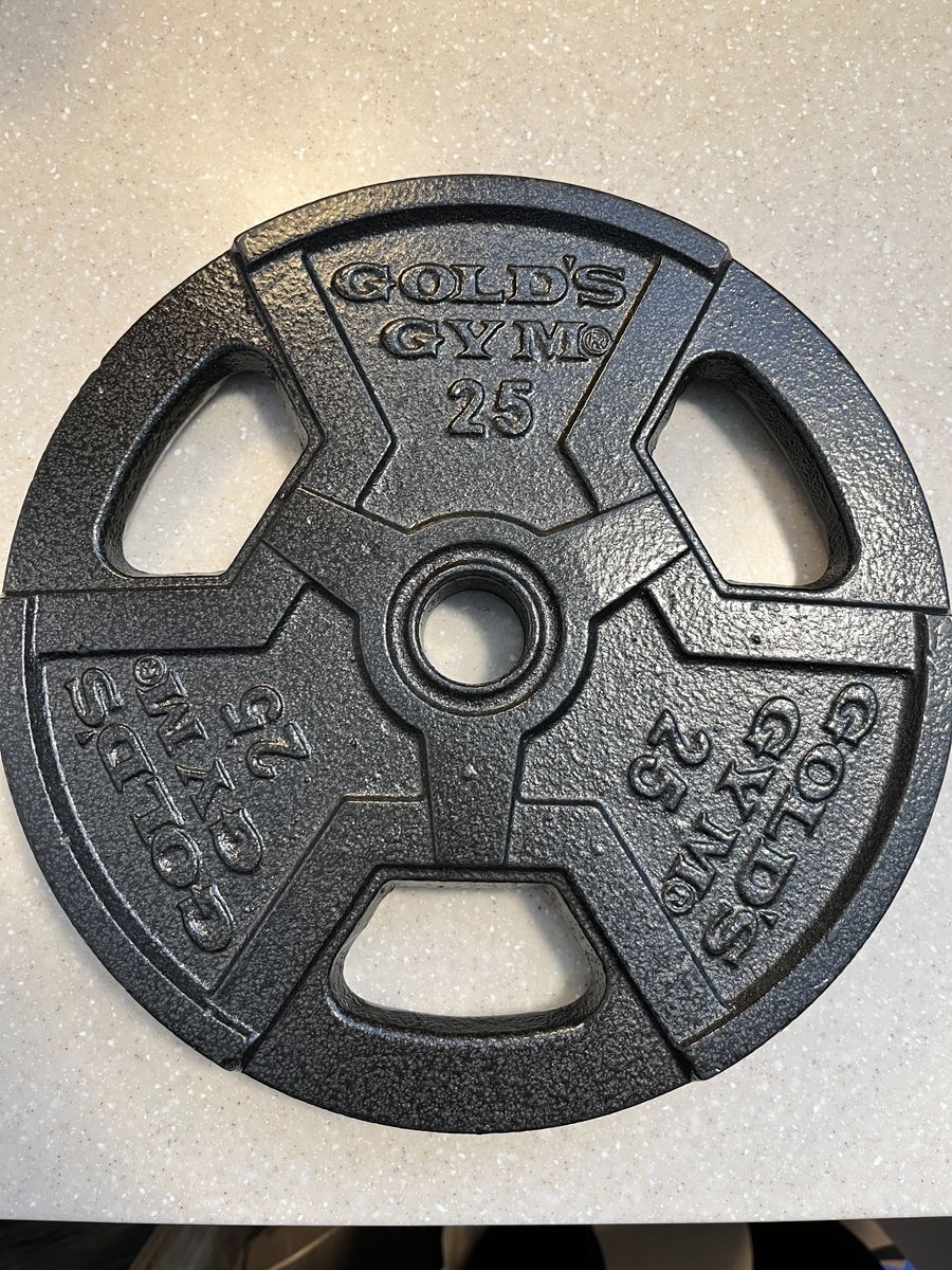 25 lb weight