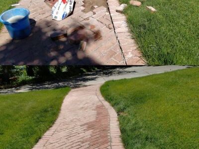 Tree Cutting | Sprinkler Repair | Bark Installation | Sod Cutting | Yard Clean up | And More!