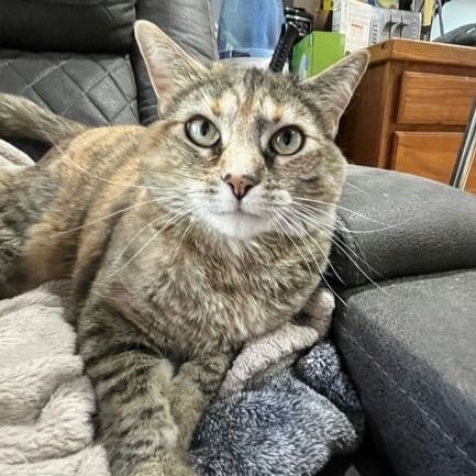 Hello my name is "Princess"