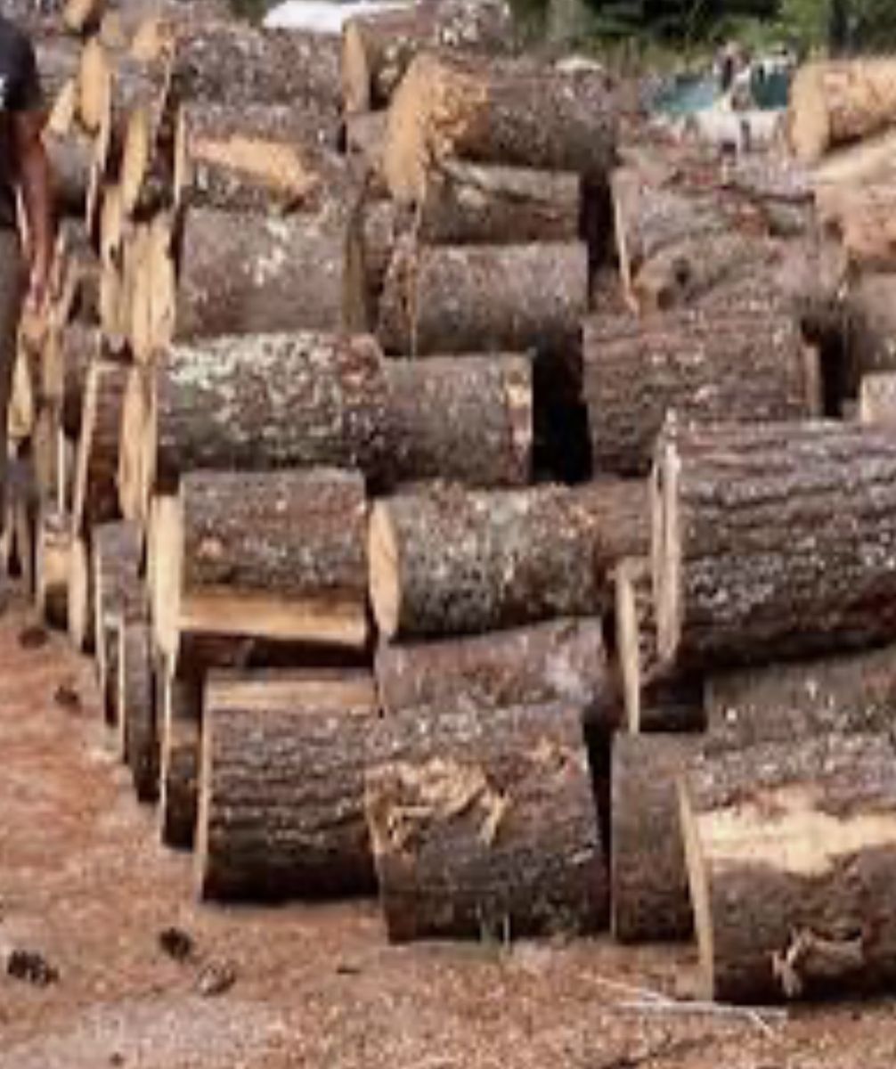 Free hardwood firewood
