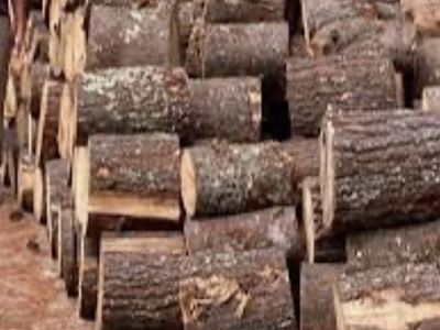 Free hardwood firewood